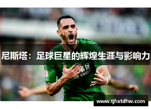 尼斯塔：足球巨星的辉煌生涯与影响力