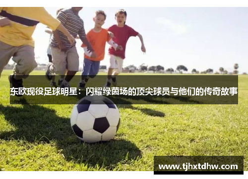 东欧现役足球明星：闪耀绿茵场的顶尖球员与他们的传奇故事